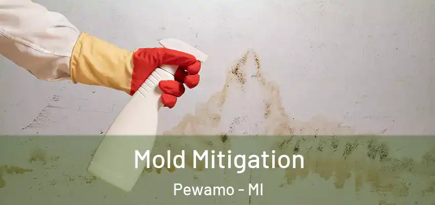 Mold Mitigation Pewamo - MI