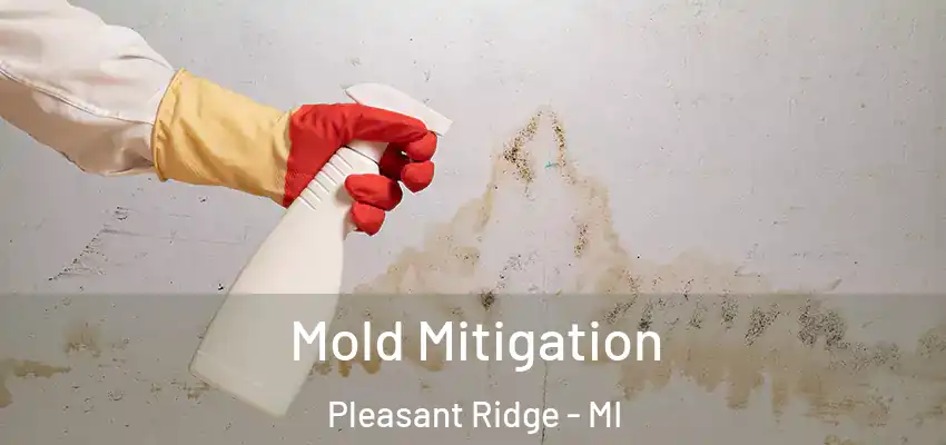 Mold Mitigation Pleasant Ridge - MI