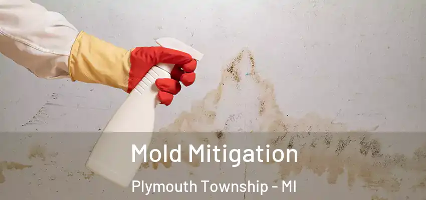  Mold Mitigation Plymouth Township - MI