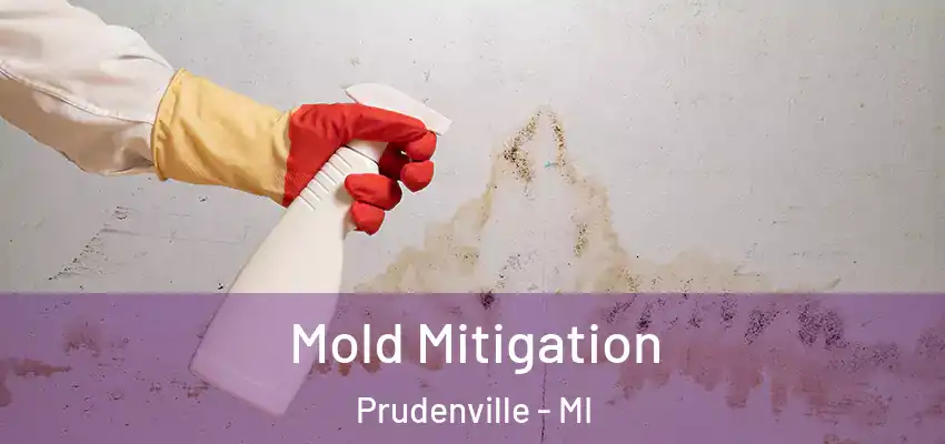  Mold Mitigation Prudenville - MI