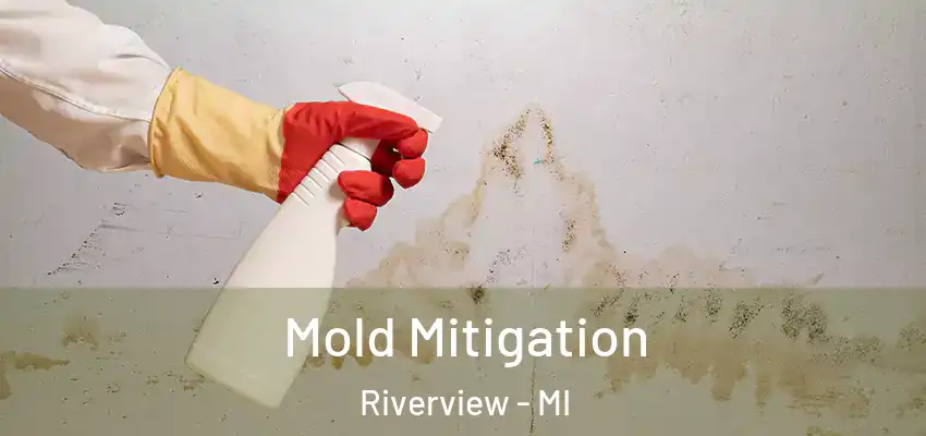 Mold Mitigation Riverview - MI