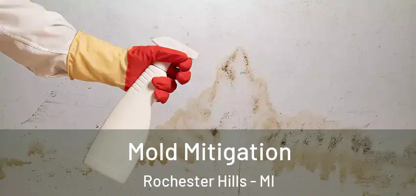  Mold Mitigation Rochester Hills - MI