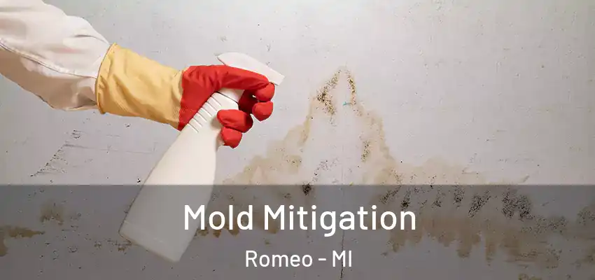 Mold Mitigation Romeo - MI