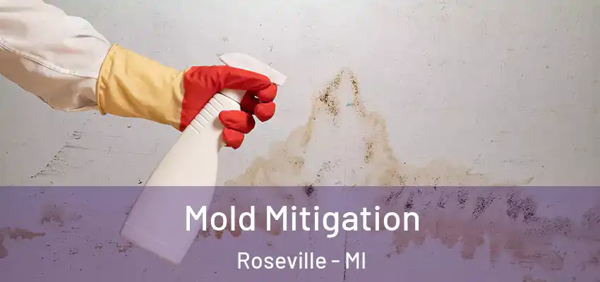  Mold Mitigation Roseville - MI