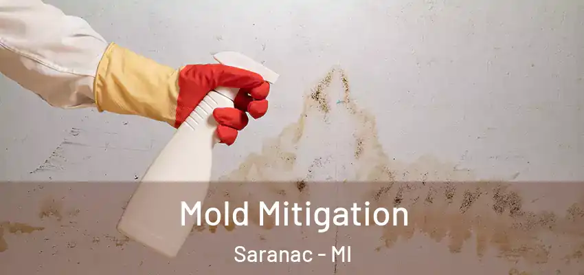Mold Mitigation Saranac - MI