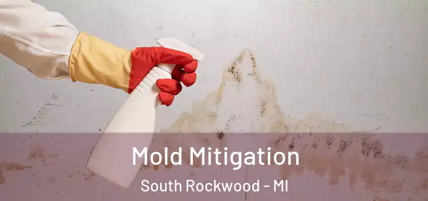  Mold Mitigation South Rockwood - MI