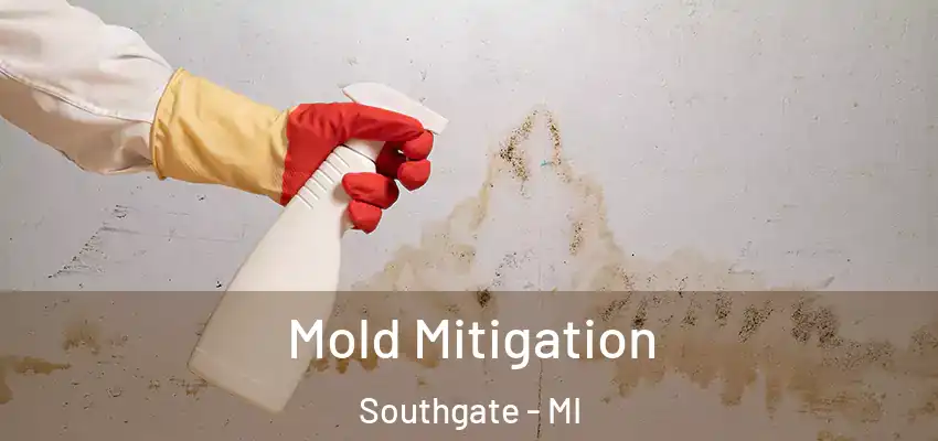 Mold Mitigation Southgate - MI