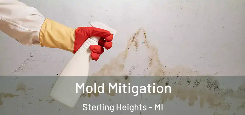  Mold Mitigation Sterling Heights - MI