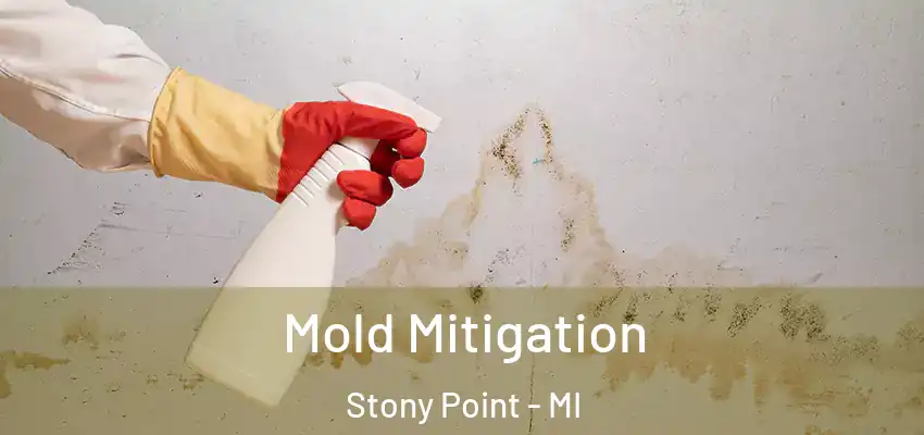 Mold Mitigation Stony Point - MI