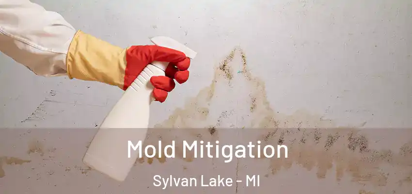  Mold Mitigation Sylvan Lake - MI