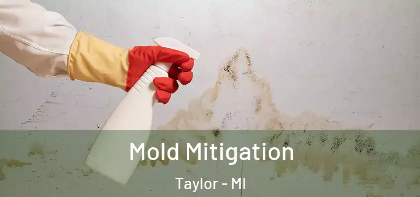 Mold Mitigation Taylor - MI
