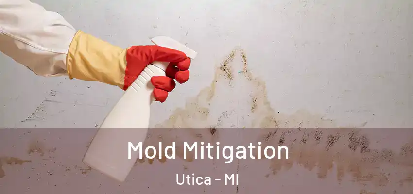 Mold Mitigation Utica - MI