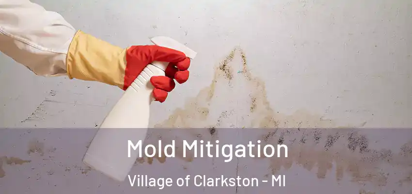  Mold Mitigation Village of Clarkston - MI