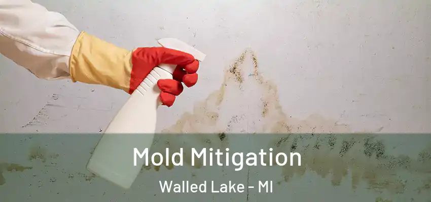  Mold Mitigation Walled Lake - MI