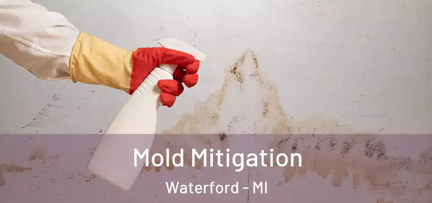  Mold Mitigation Waterford - MI