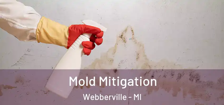 Mold Mitigation Webberville - MI