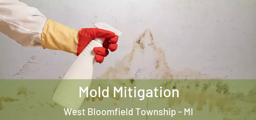  Mold Mitigation West Bloomfield Township - MI