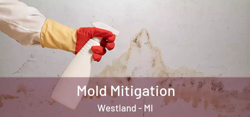  Mold Mitigation Westland - MI