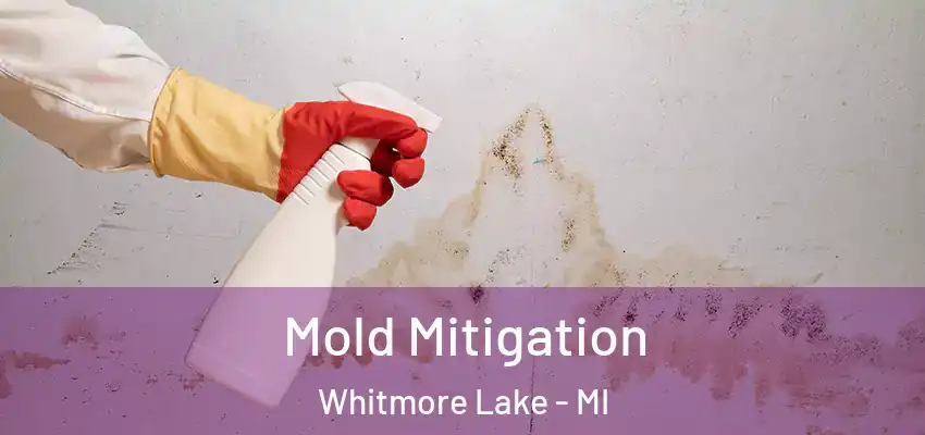  Mold Mitigation Whitmore Lake - MI
