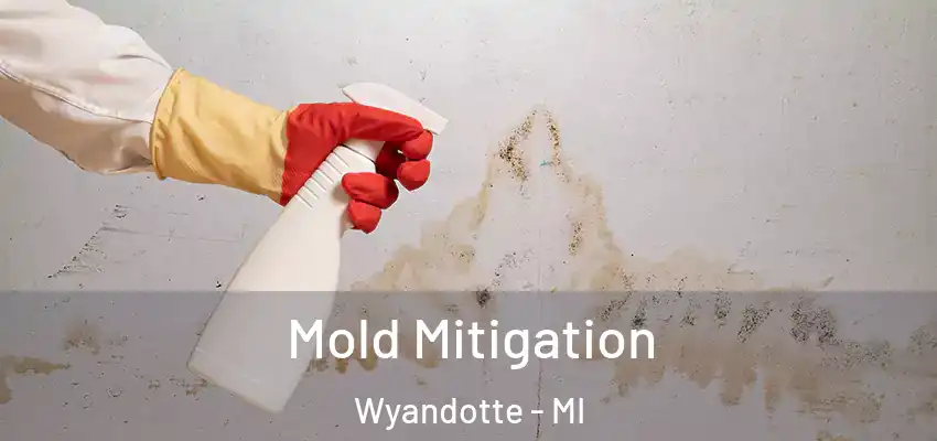 Mold Mitigation Wyandotte - MI