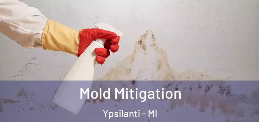  Mold Mitigation Ypsilanti - MI
