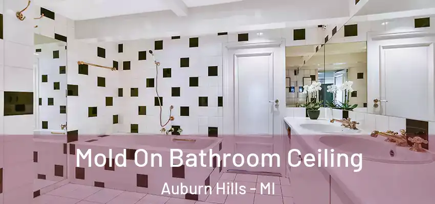 Mold On Bathroom Ceiling Auburn Hills - MI
