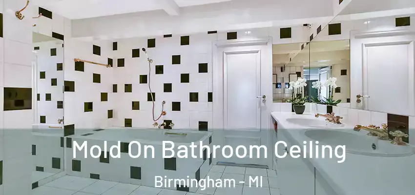  Mold On Bathroom Ceiling Birmingham - MI