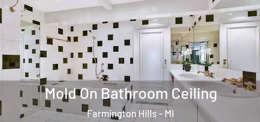  Mold On Bathroom Ceiling Farmington Hills - MI