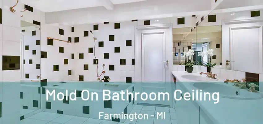  Mold On Bathroom Ceiling Farmington - MI