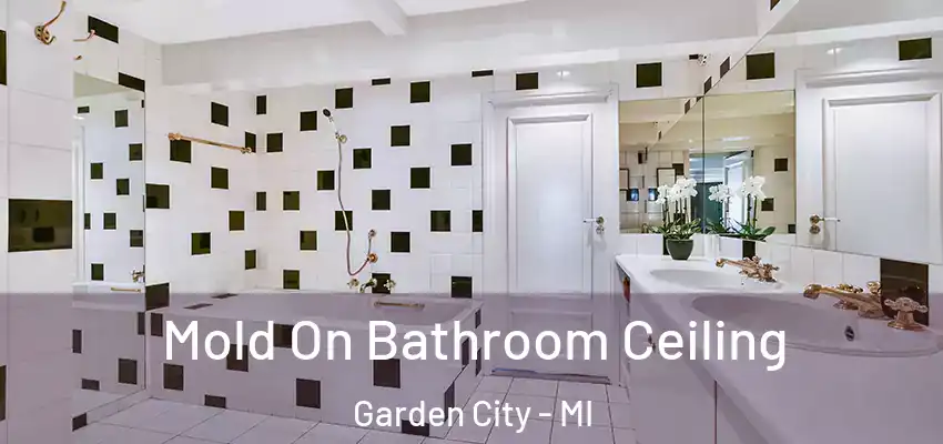  Mold On Bathroom Ceiling Garden City - MI