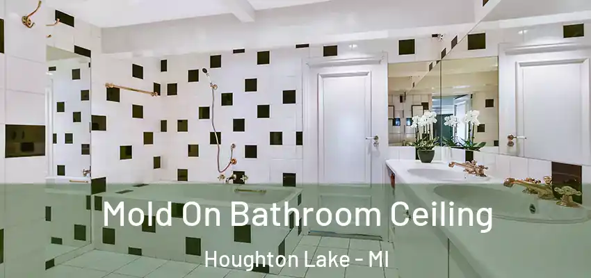  Mold On Bathroom Ceiling Houghton Lake - MI