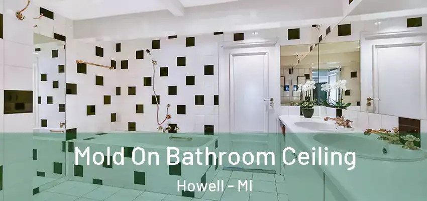  Mold On Bathroom Ceiling Howell - MI