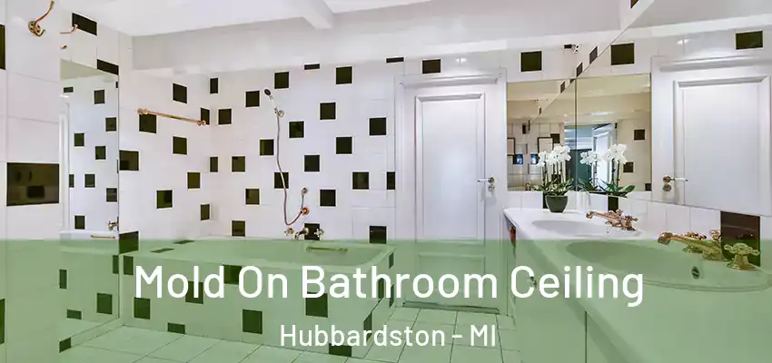  Mold On Bathroom Ceiling Hubbardston - MI