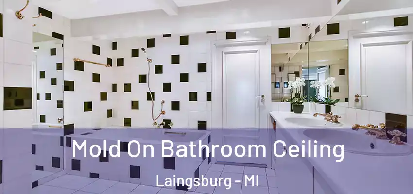  Mold On Bathroom Ceiling Laingsburg - MI