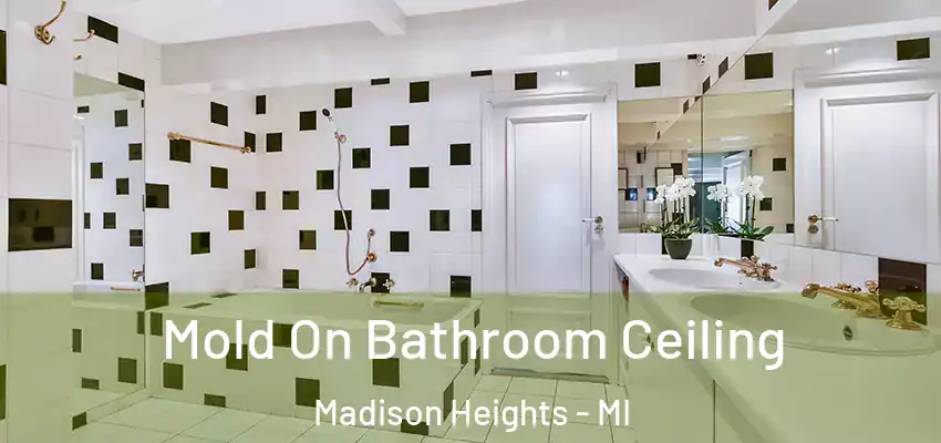 Mold On Bathroom Ceiling Madison Heights - MI