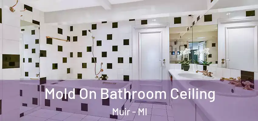  Mold On Bathroom Ceiling Muir - MI