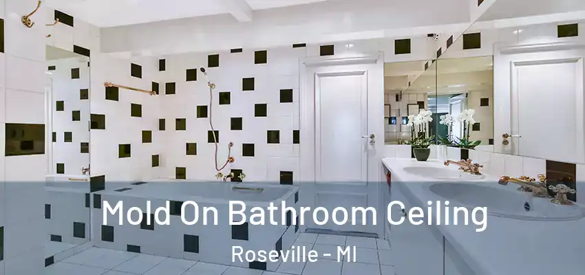  Mold On Bathroom Ceiling Roseville - MI