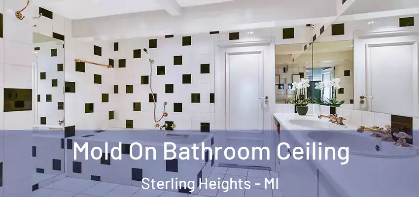  Mold On Bathroom Ceiling Sterling Heights - MI