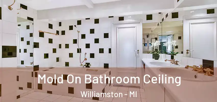  Mold On Bathroom Ceiling Williamston - MI