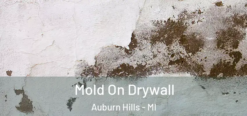 Mold On Drywall Auburn Hills - MI
