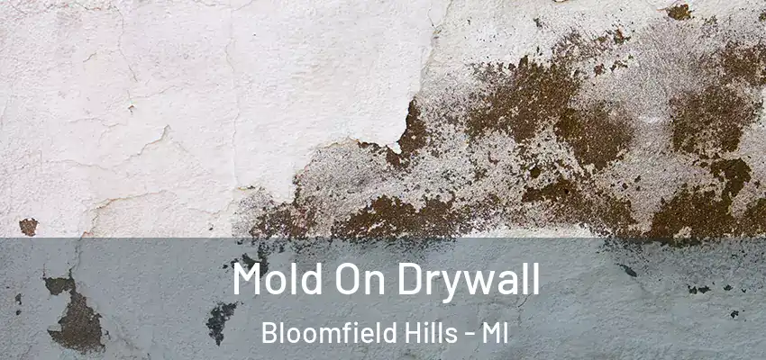  Mold On Drywall Bloomfield Hills - MI