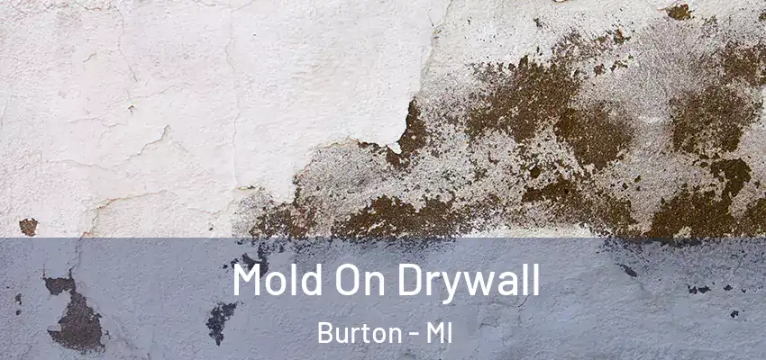  Mold On Drywall Burton - MI