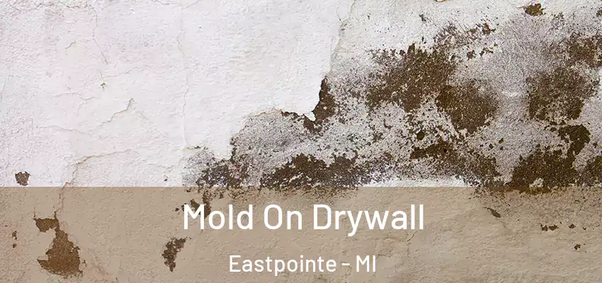  Mold On Drywall Eastpointe - MI