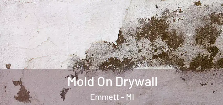  Mold On Drywall Emmett - MI
