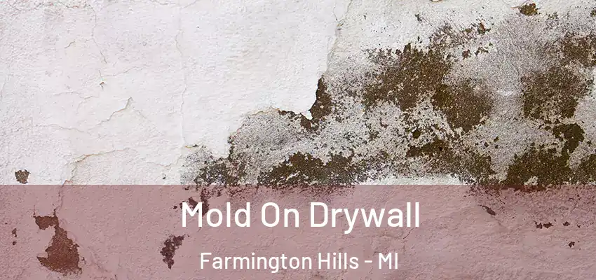  Mold On Drywall Farmington Hills - MI