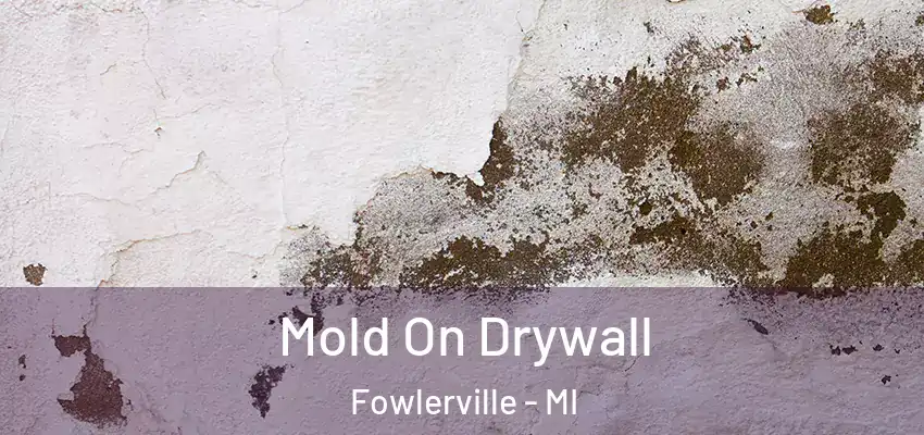 Mold On Drywall Fowlerville - MI