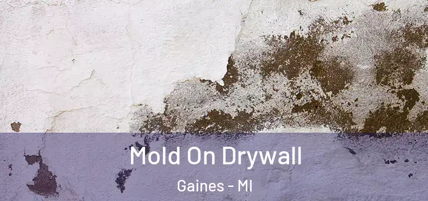  Mold On Drywall Gaines - MI