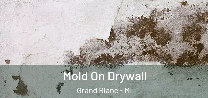  Mold On Drywall Grand Blanc - MI