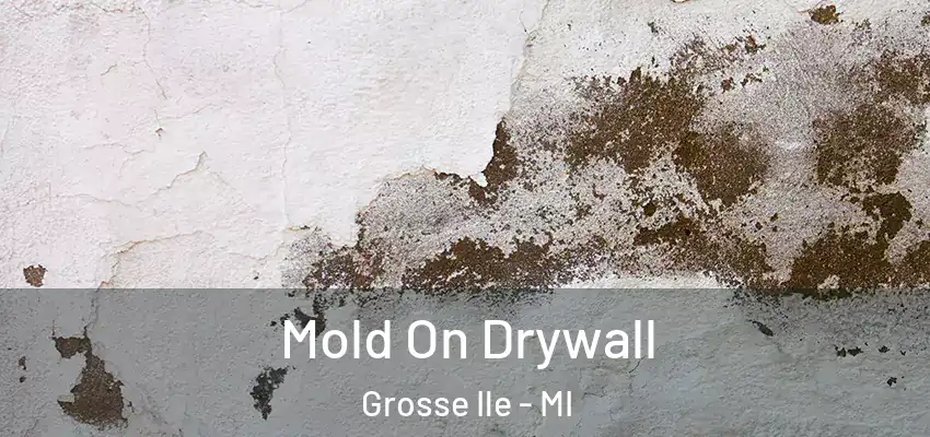  Mold On Drywall Grosse Ile - MI