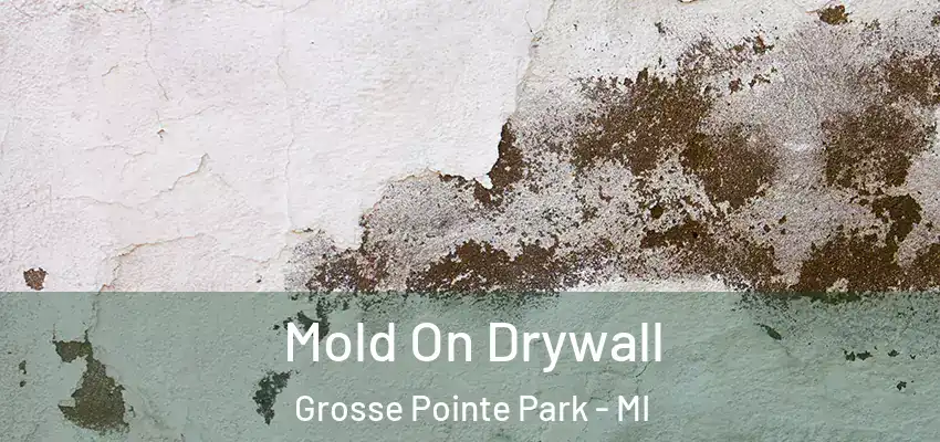  Mold On Drywall Grosse Pointe Park - MI
